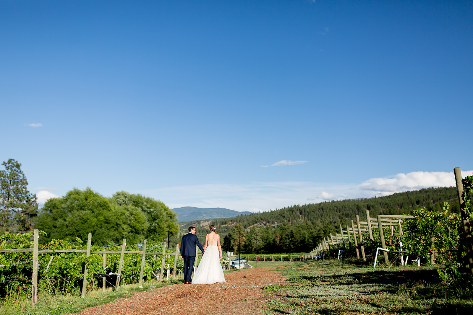 Bride and groom walk down the trail at their winery wedding venue in BC with a clear blue sky above them