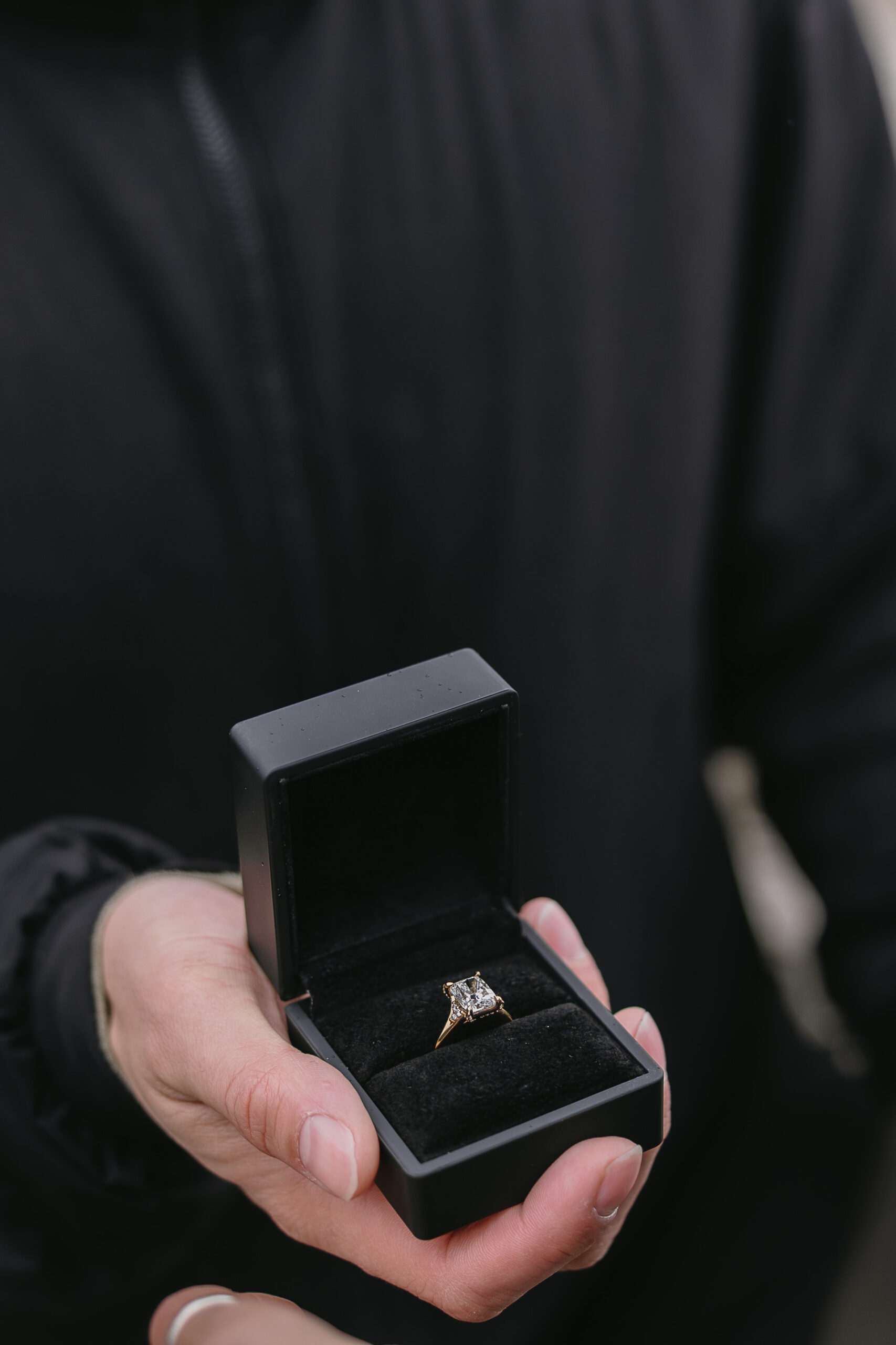 wedding ring at proposal, lighthouse park